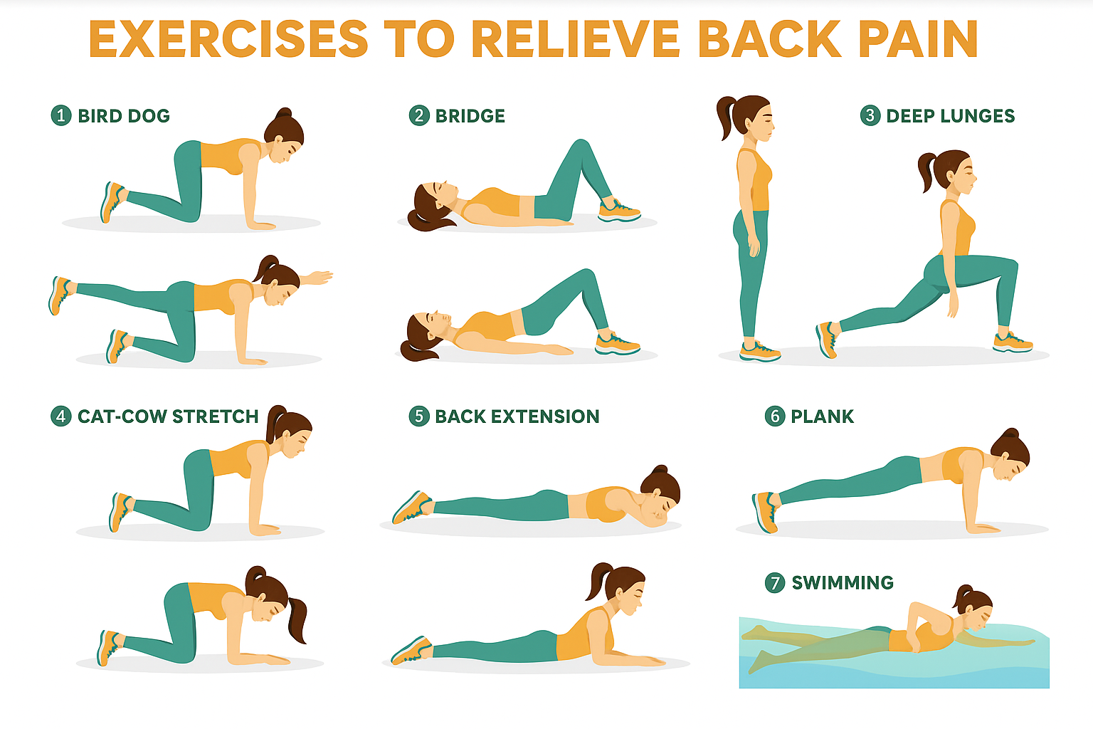 Spine-safe exercise panel for female lower back pain: dead bug, bird dog, glute bridge, side plank, hip flexor stretch.