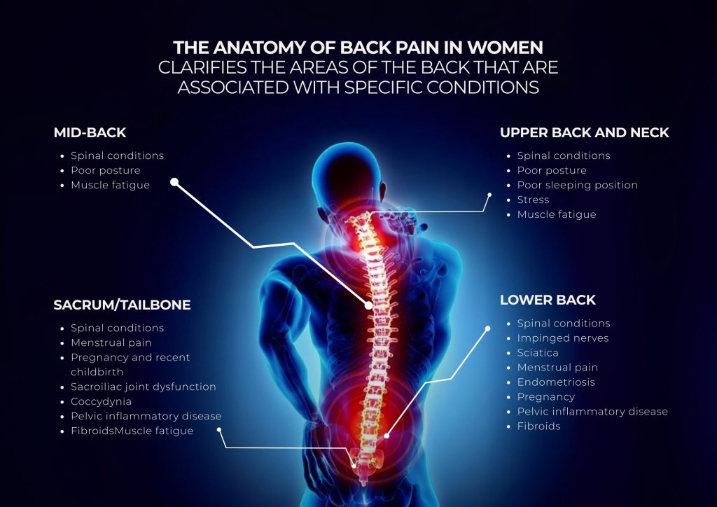 Back pain areas in women explained